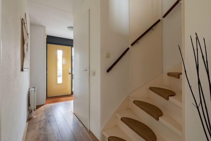 Photo 11 of Schoener 1