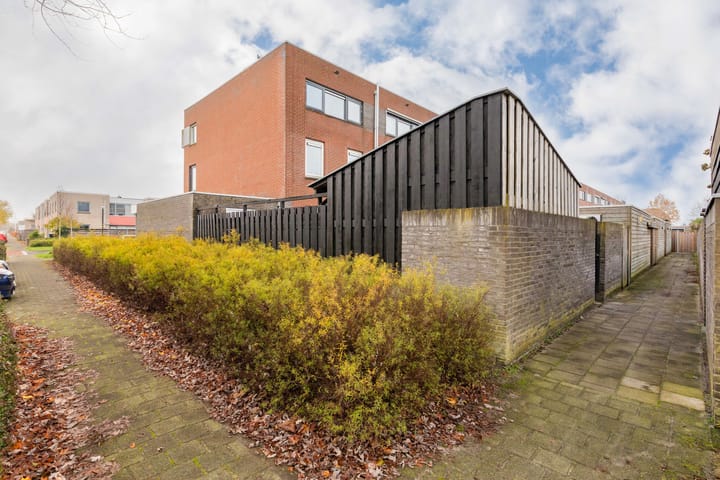 Photo 41 of Schoener 1