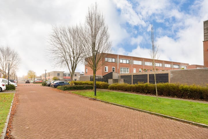 Photo 42 of Schoener 1