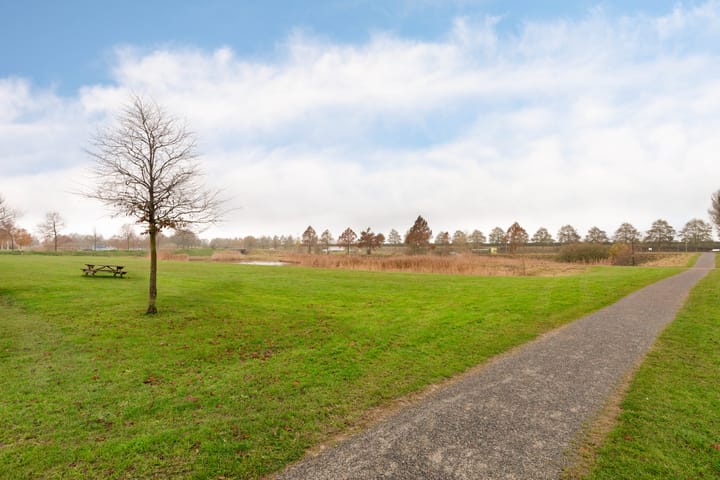 Photo 44 of Schoener 1