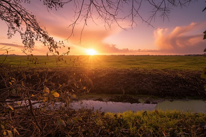 Foto 33 van Zuideruitweg 30