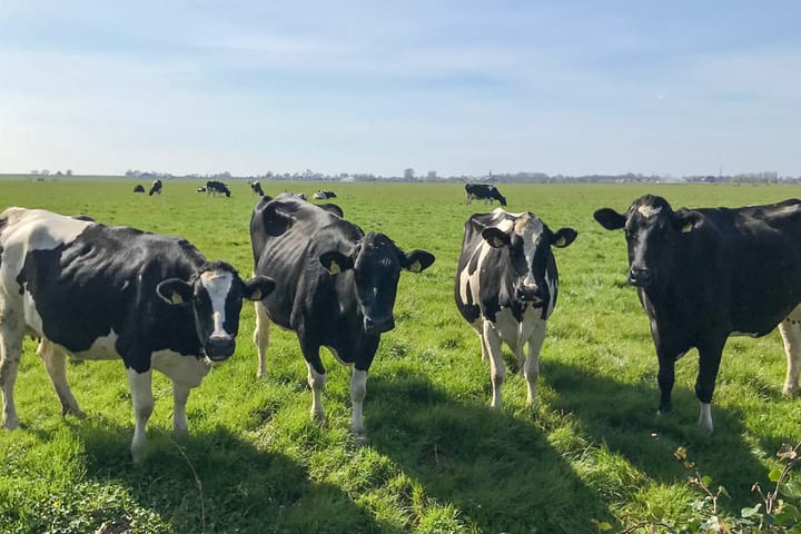 Foto 47 van Zuideruitweg 30