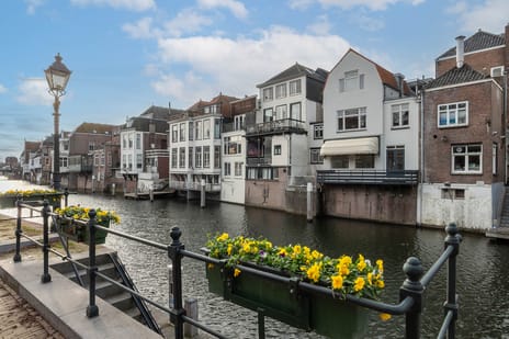 Langendijk 27 tertiary image