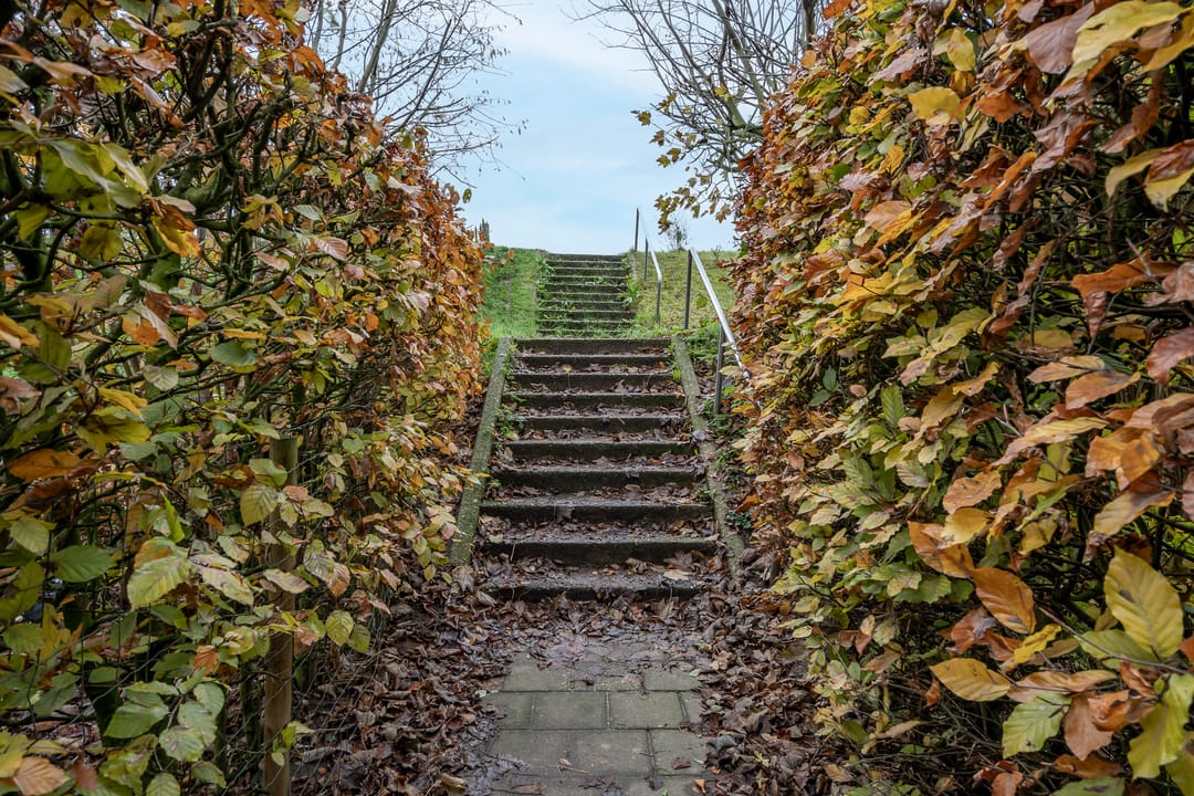 Foto 37 van Van Arkellaan 23