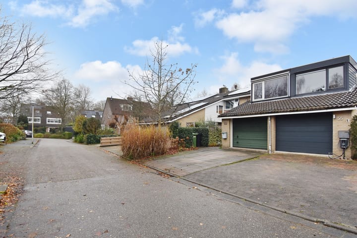 Foto 2 van Zwenkgras 53