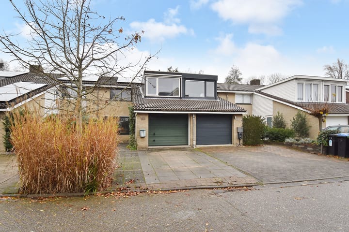 Foto 3 van Zwenkgras 53