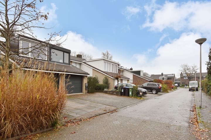 Foto 4 van Zwenkgras 53