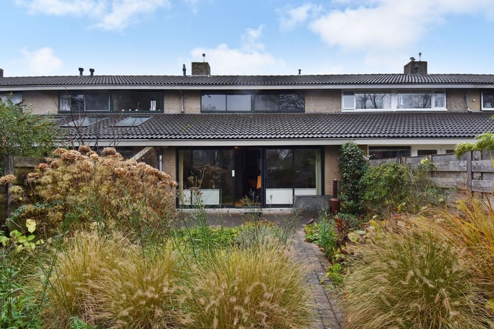 Foto 21 van Zwenkgras 53