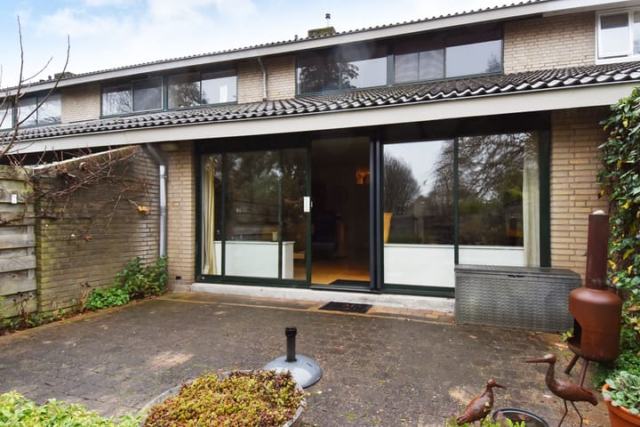 Foto 22 van Zwenkgras 53