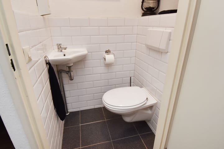 Foto 23 van Zwenkgras 53