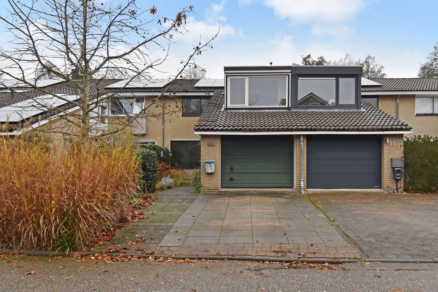 Foto 1 van Zwenkgras 53