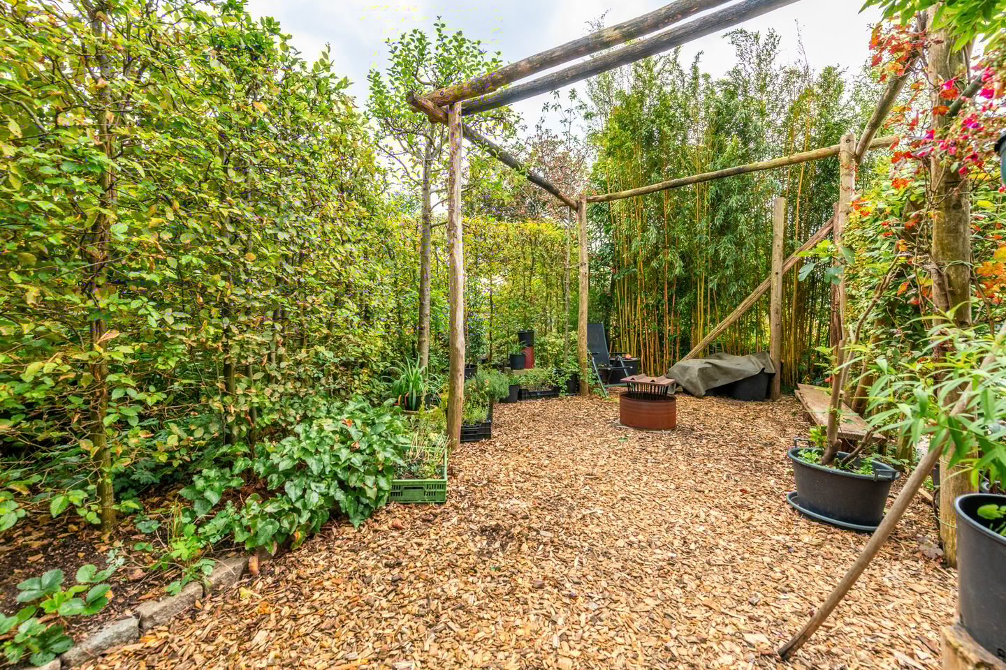 Foto 34 van M.C.Verloopweg 21