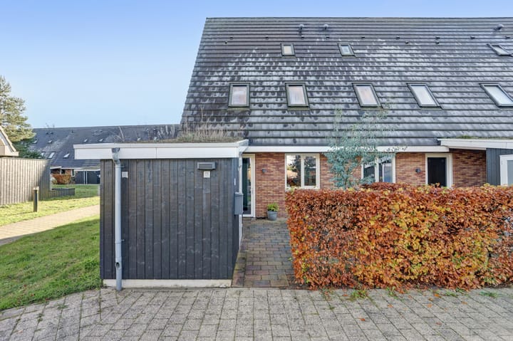 Photo 5 of Nelson Mandelahof 41