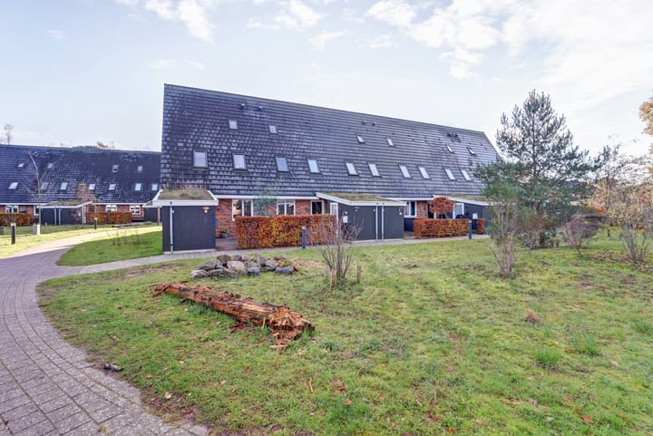 Photo 30 of Nelson Mandelahof 41