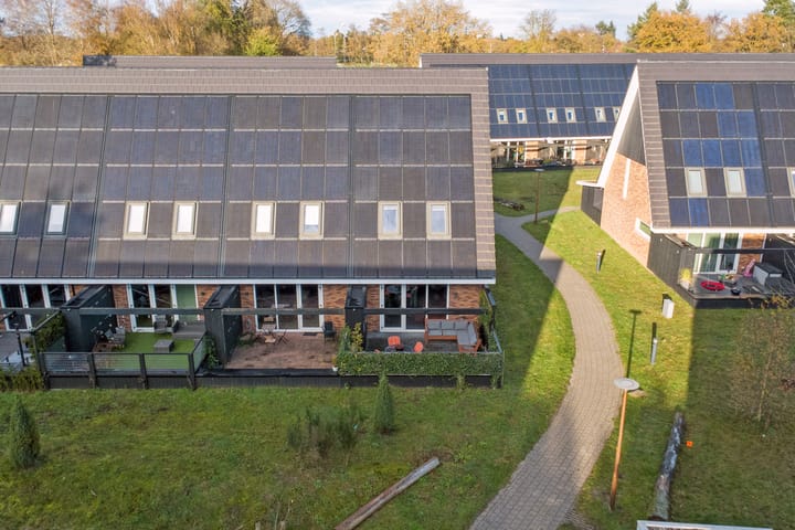 Photo 35 of Nelson Mandelahof 41