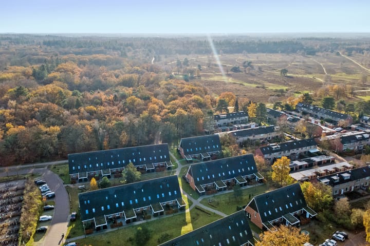 Photo 37 of Nelson Mandelahof 41