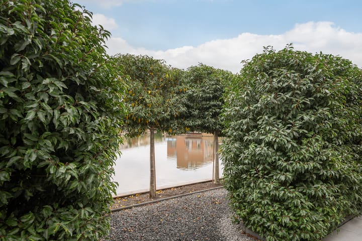 Photo 25 of Johanna Naberkade 37