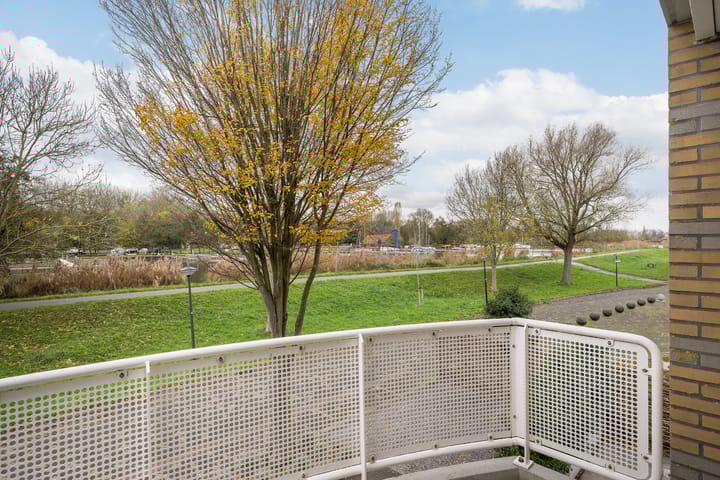 Photo 42 of Johanna Naberkade 37