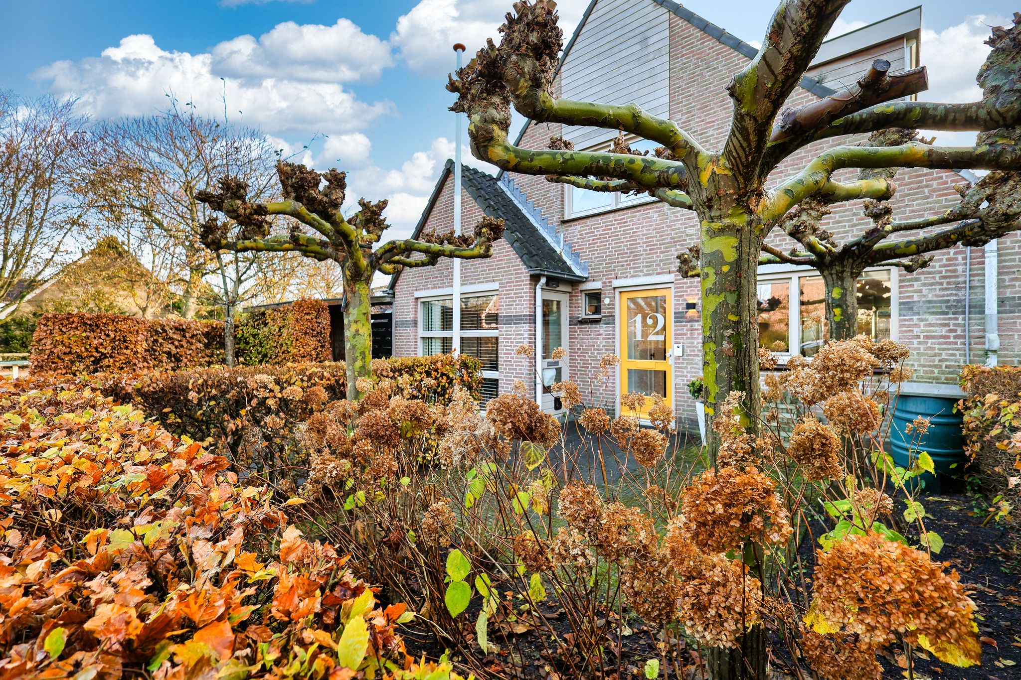 Foto 6 van Marga Klompéstraat 12