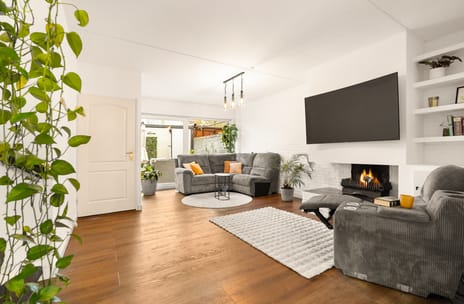 undefined main image