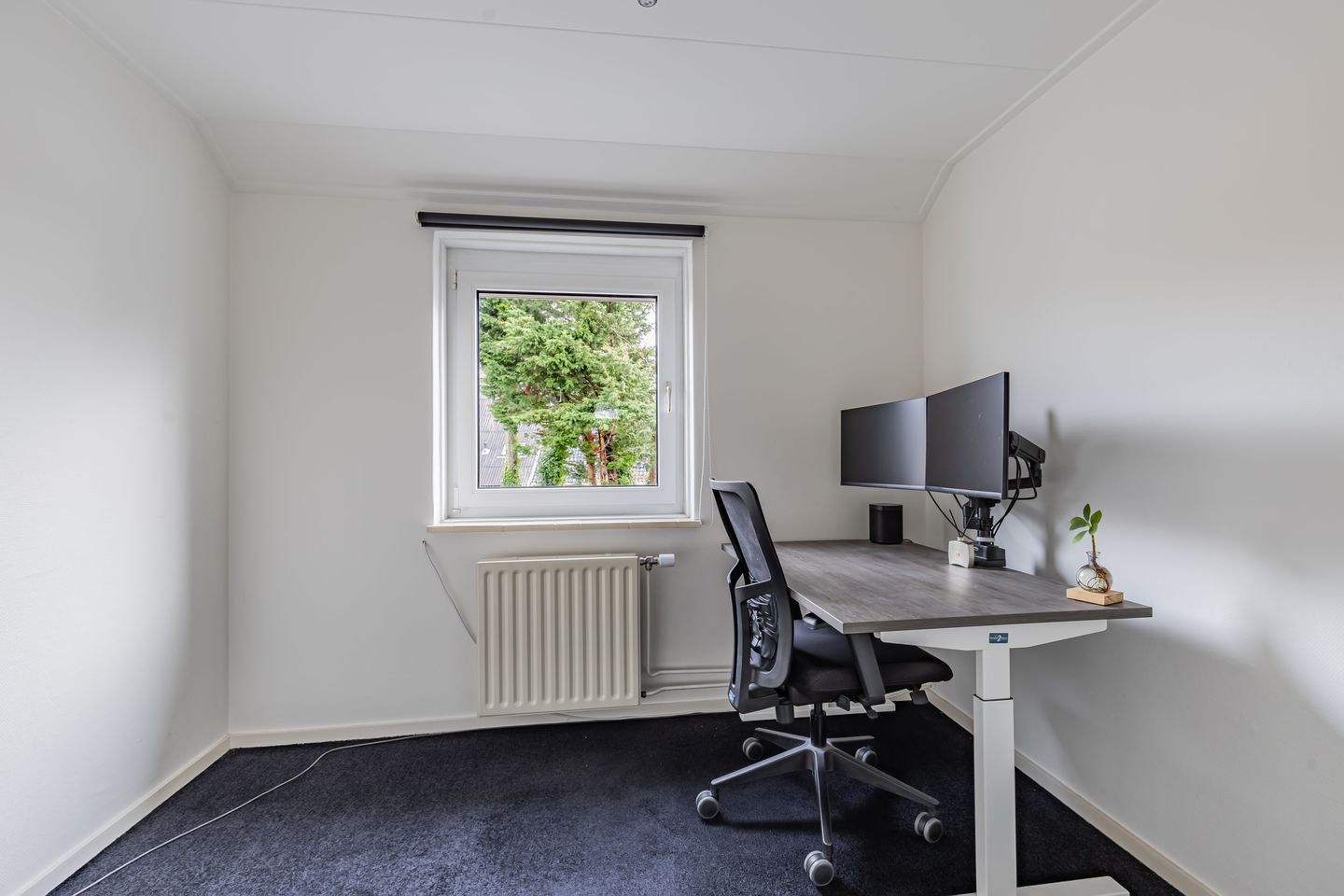 Photo 29 of Julianastraat 6