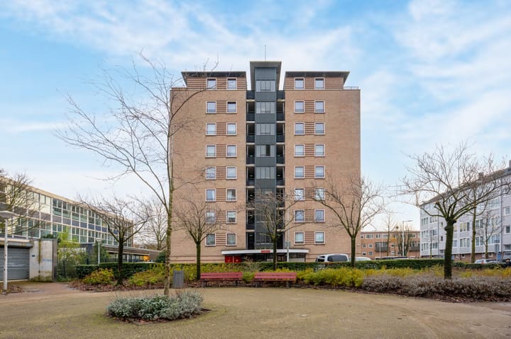 Wildeman 97 main image