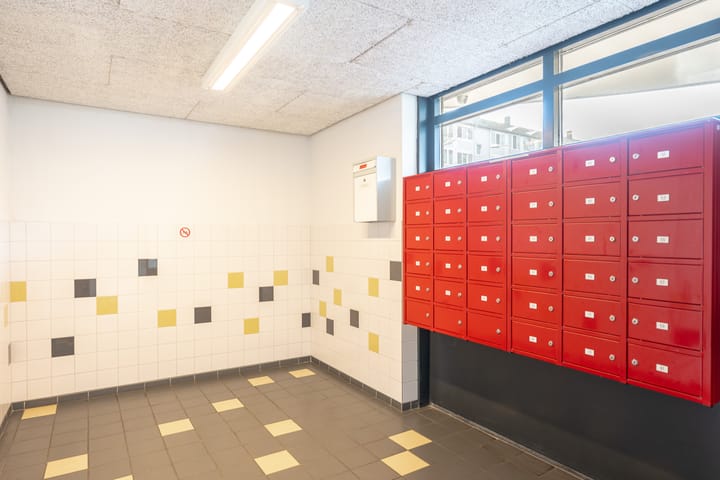 Foto 27 van Wildeman 97