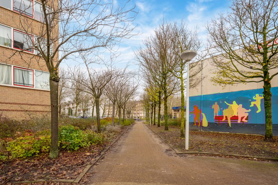 Foto 32 van Wildeman 97