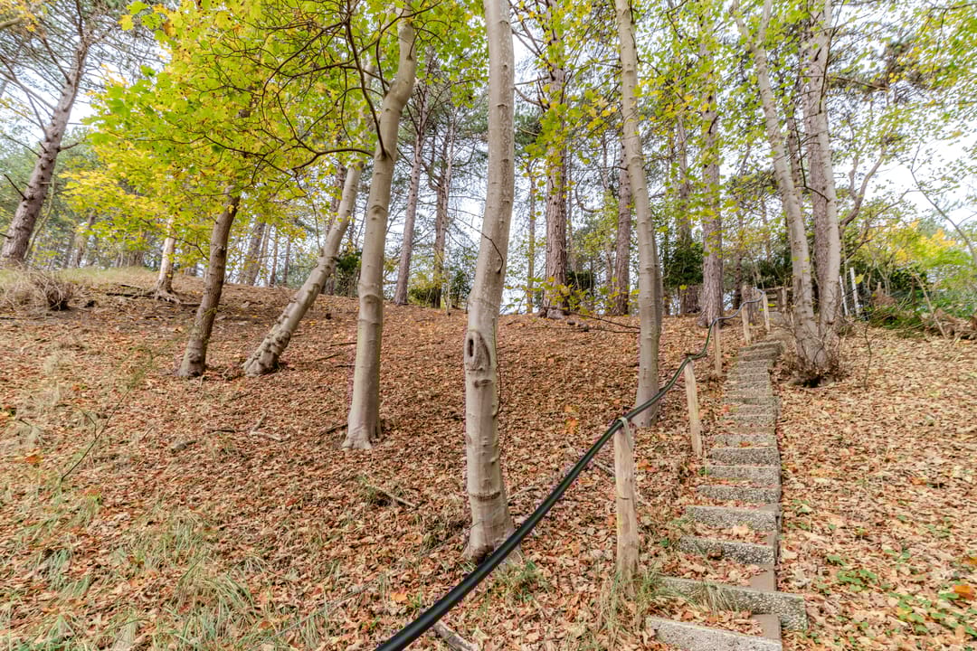 Foto 2 van Prins Frederiklaan 18-A