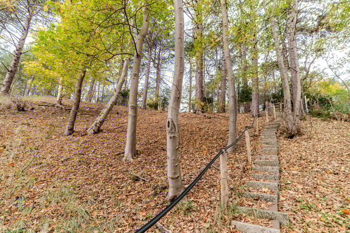 Photo 2 of Prins Frederiklaan 18-A