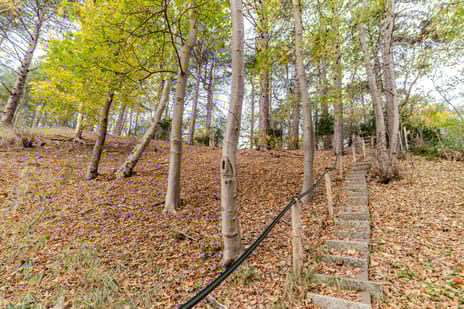 Prins Frederiklaan 18-A secondary image