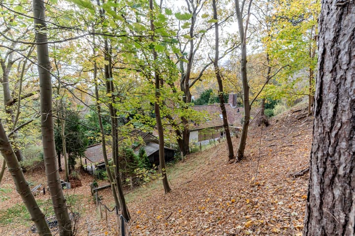 Photo 28 of Prins Frederiklaan 18-A