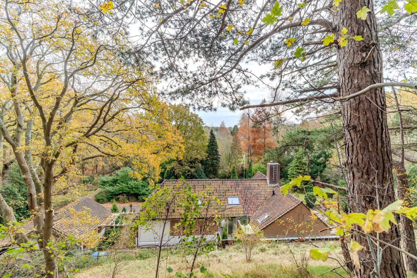 Foto 29 van Prins Frederiklaan 18-A