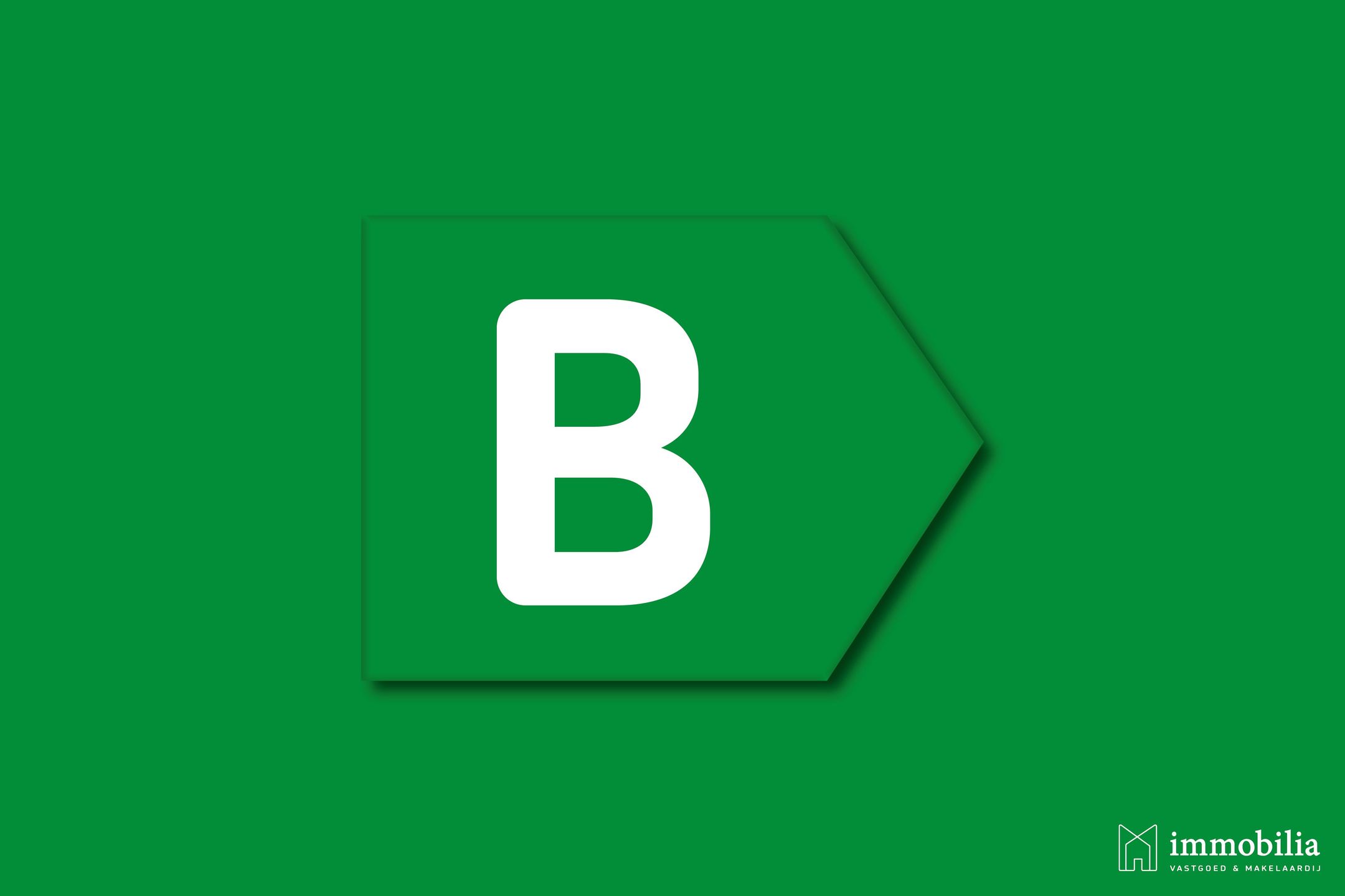 Foto 30 van Frits Diepenlaan 32