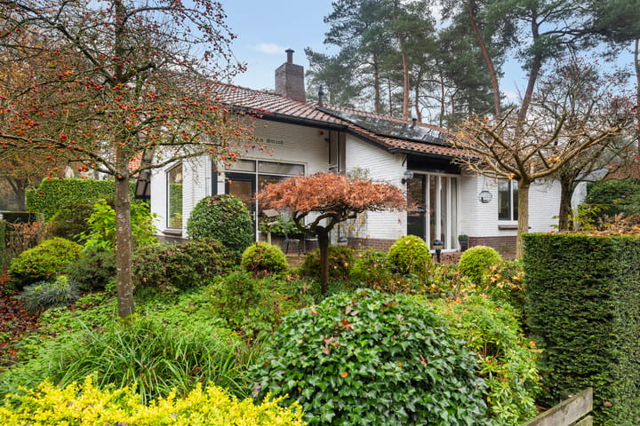 Foto 33 van Tromplaan 4