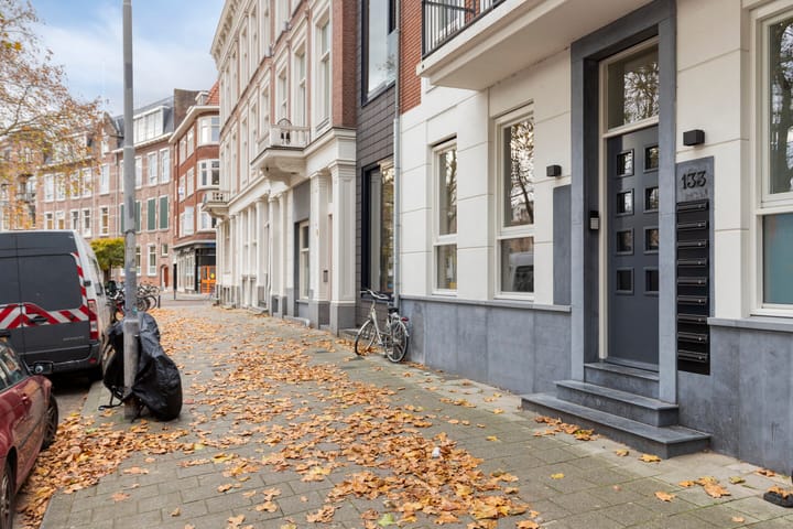 Foto 6 van Schiedamsesingel 133-B