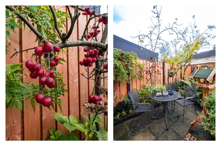 Foto 14 van Graan voor Visch 15016