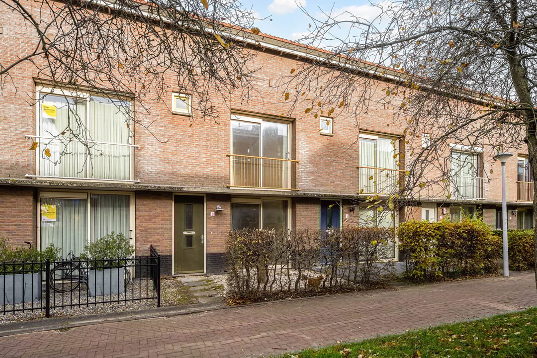 Foto 2 van Snavelzegge 3