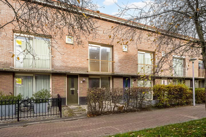 Foto 2 van Snavelzegge 3