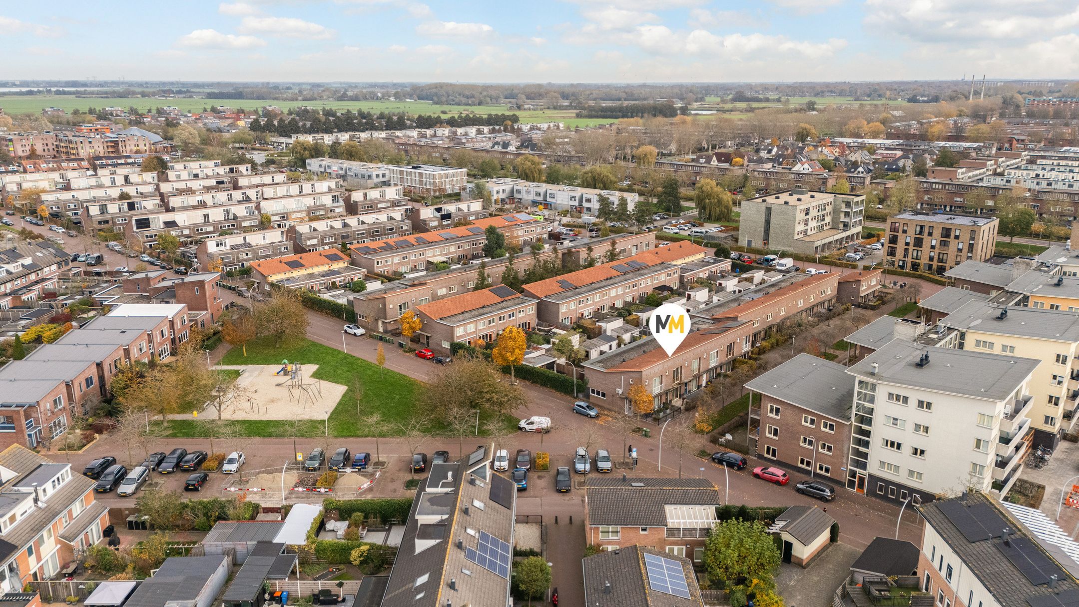 Foto 3 van Snavelzegge 3