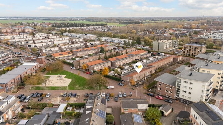 Foto 3 van Snavelzegge 3