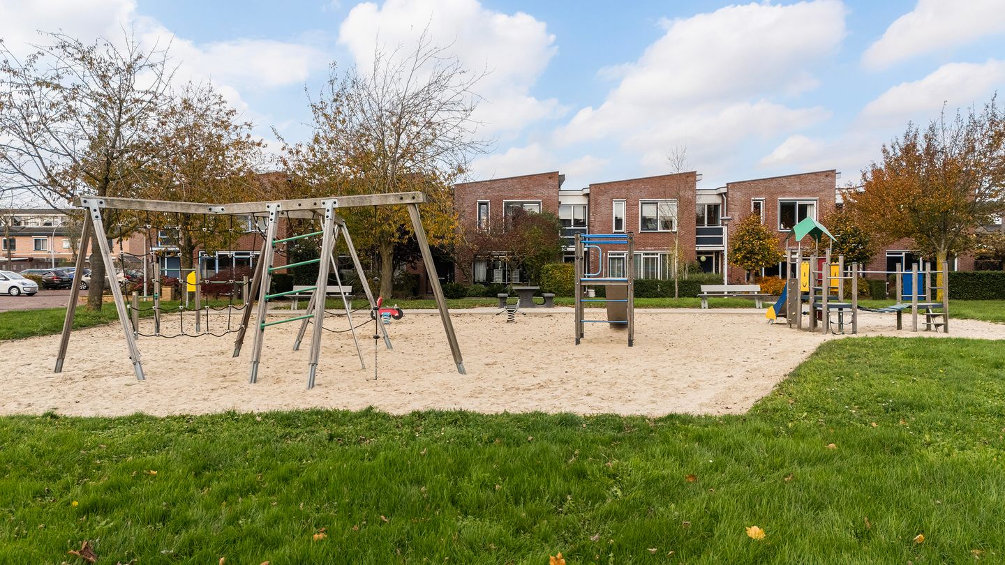 Foto 4 van Snavelzegge 3