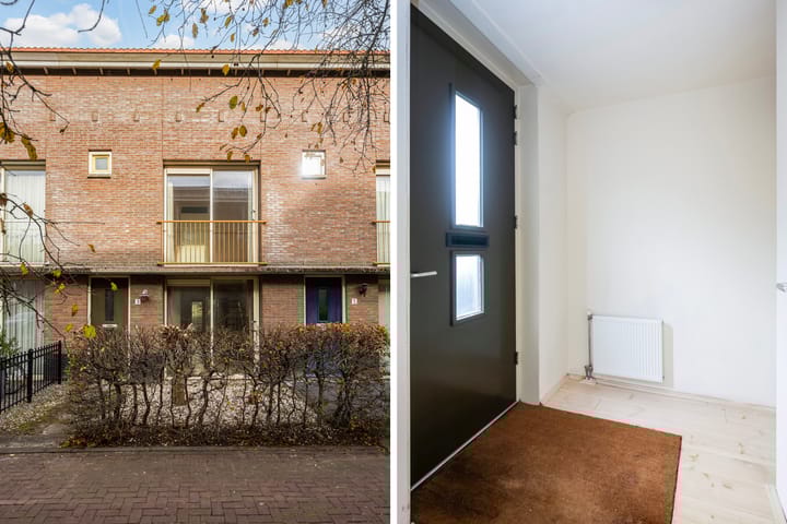 Foto 5 van Snavelzegge 3