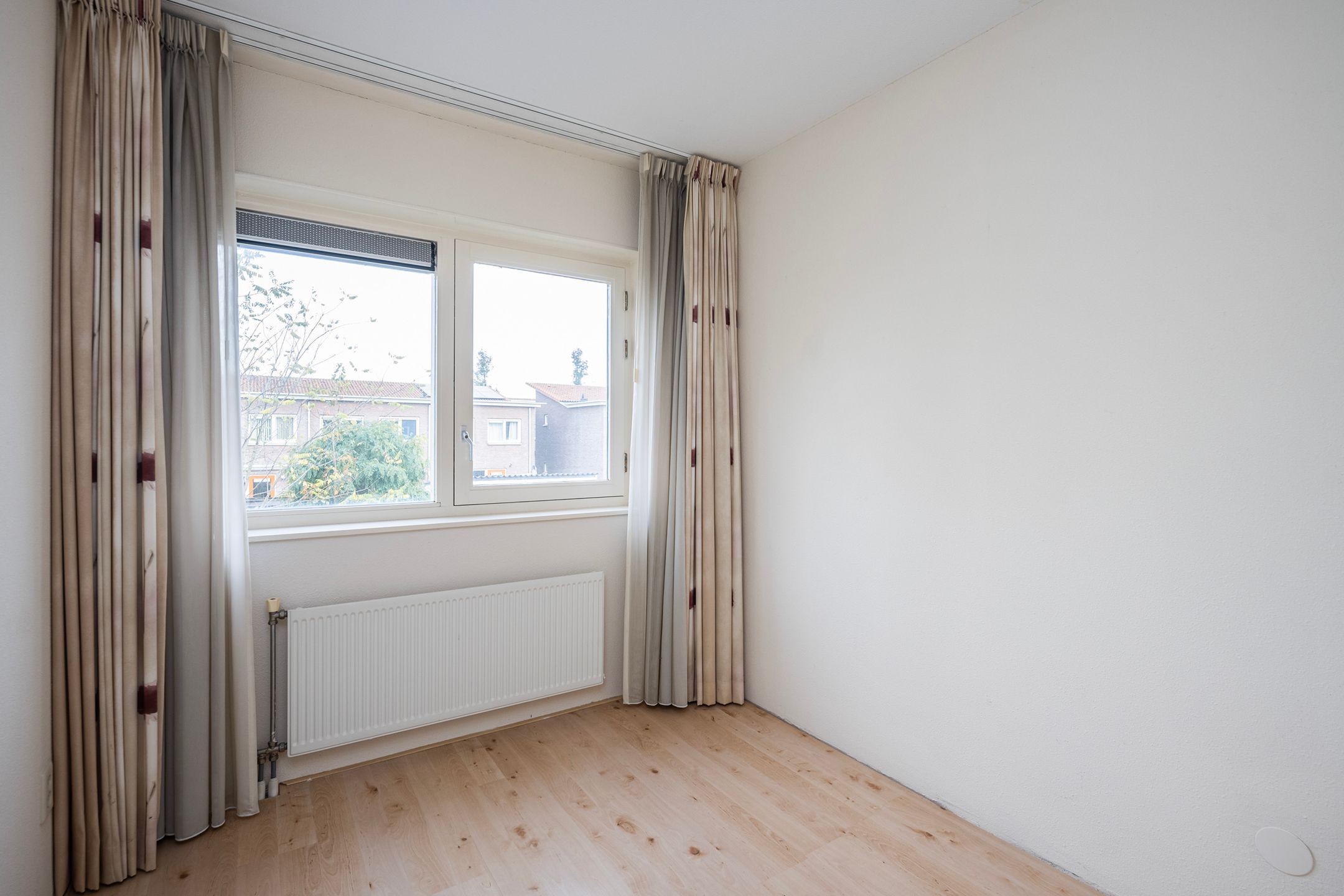 Foto 18 van Snavelzegge 3