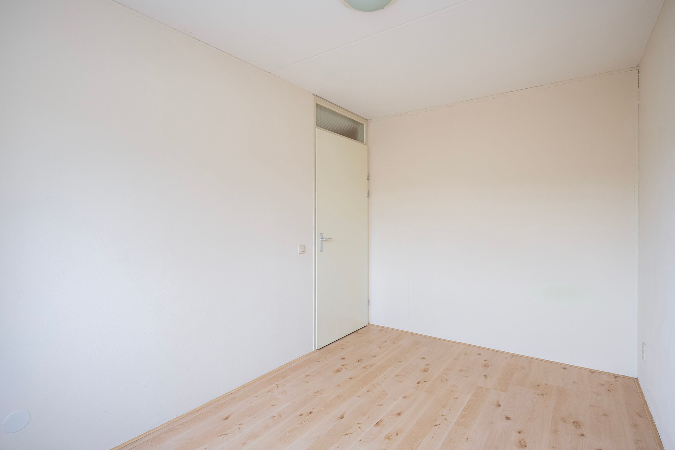 Foto 21 van Snavelzegge 3