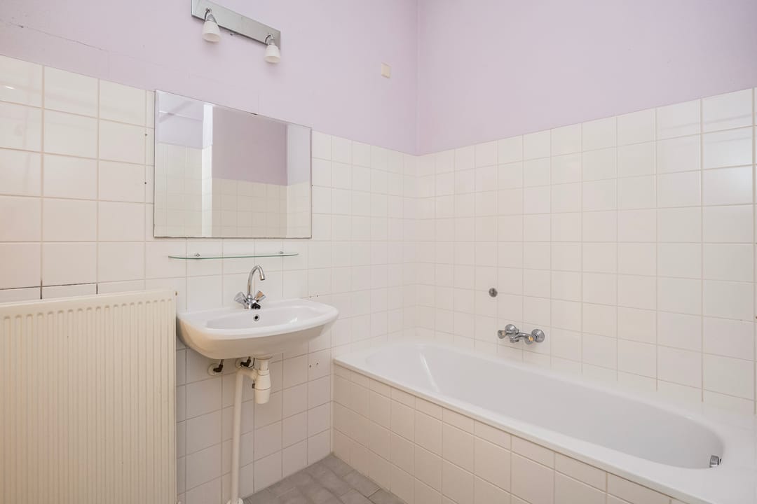 Foto 22 van Snavelzegge 3