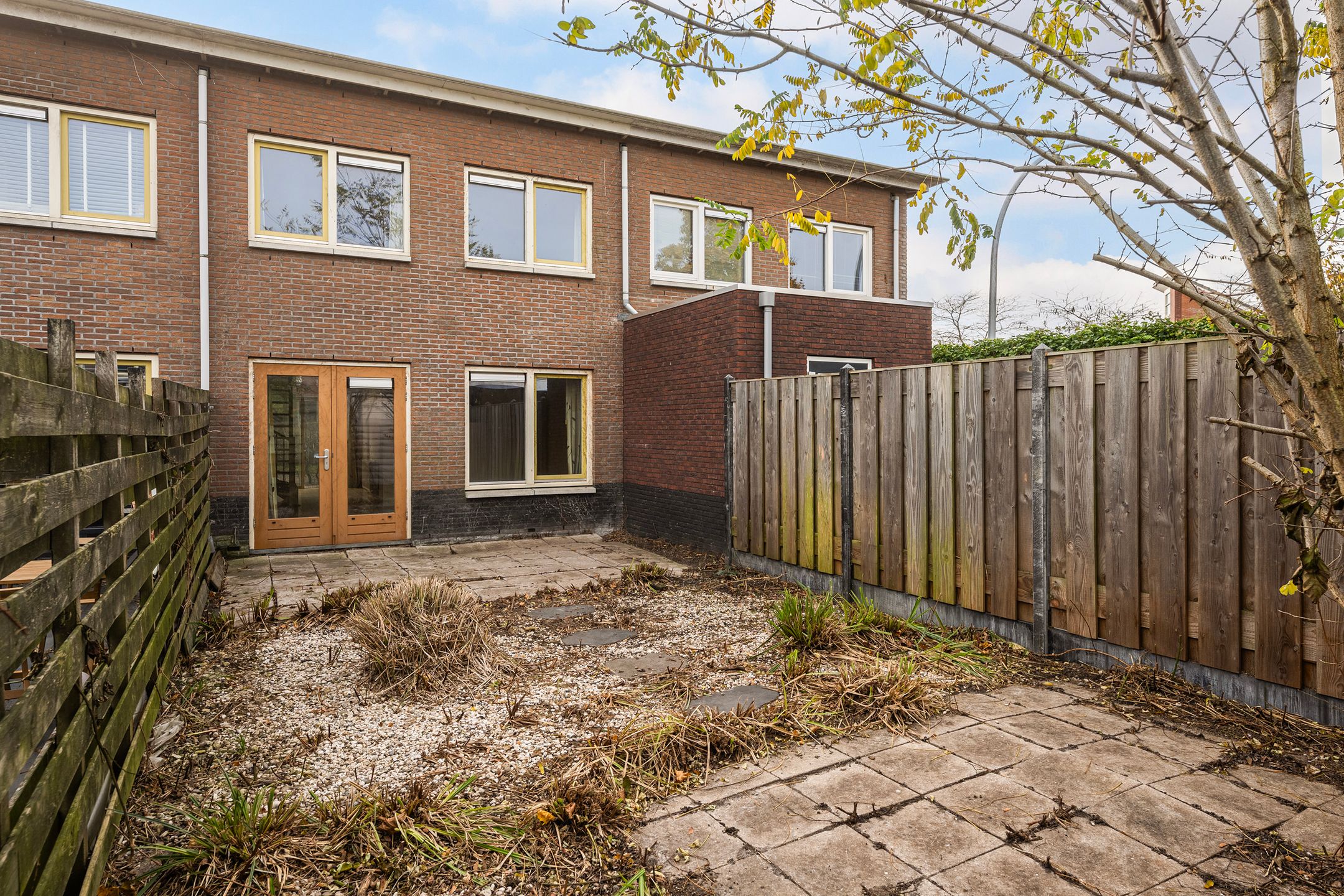 Foto 24 van Snavelzegge 3