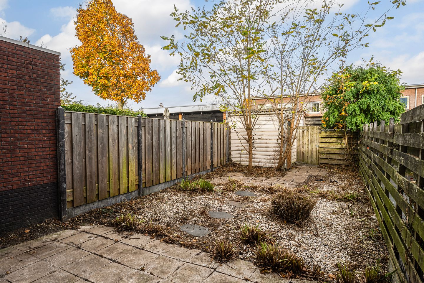 Foto 25 van Snavelzegge 3