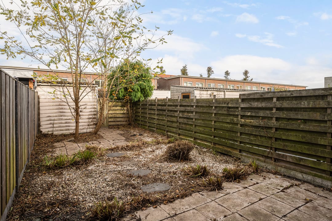 Foto 26 van Snavelzegge 3