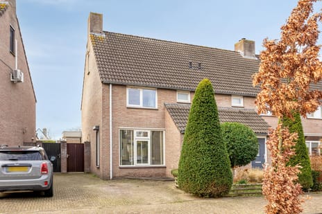 Dopheidebeemd thumbnail